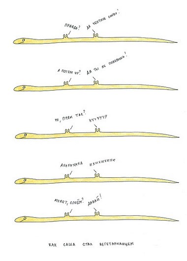 Андрей Свиридов | 