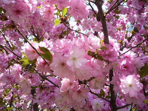 №5, Дарья Анттила, 31 год, Turku №5, Дарья Анттила, 31 год, Turku