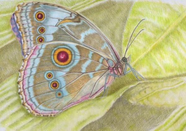 Наталья Жарихина | 