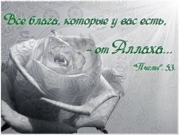 №15, Наиля Камалова, Нефтекамск №15, Наиля Камалова, Нефтекамск