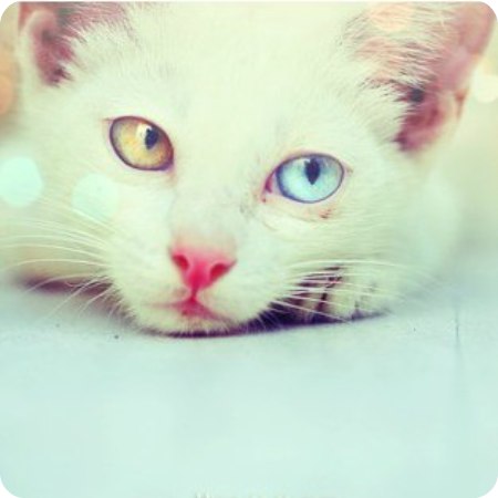 Любовь Булгакова | Киев