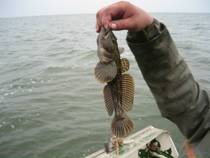 Валера Субботин | 