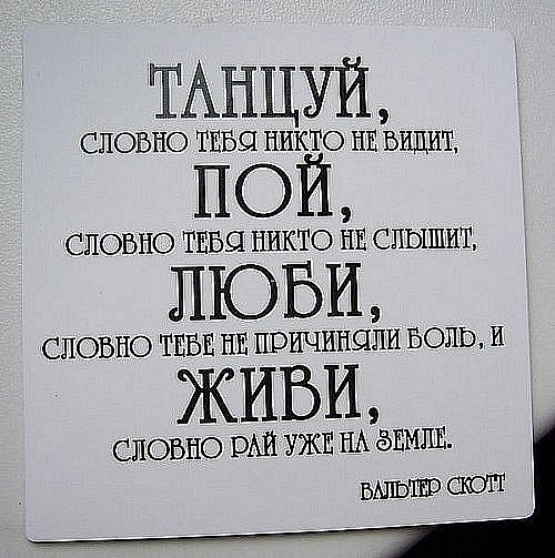 A-V Voi | Санкт-Петербург