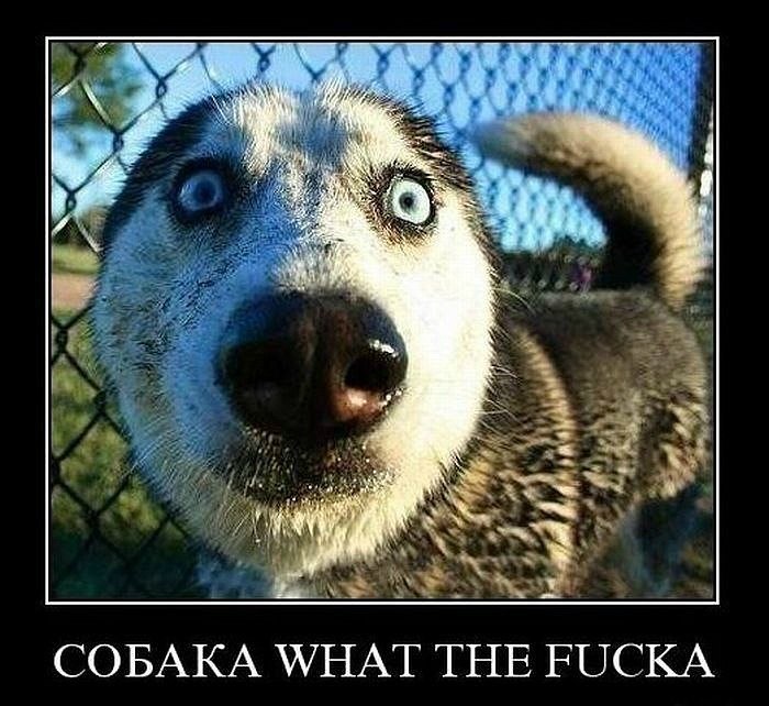 Миша Карин | Оренбург