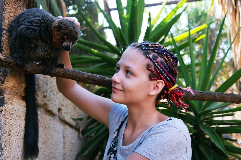 Лиза Гончарова | 