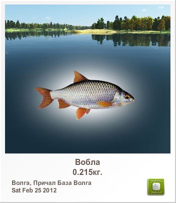 Сергей Сусойкин | Рязань