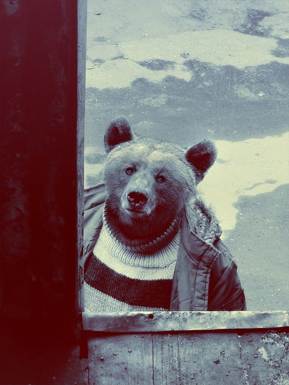 Рамиль Харисов | Новомосковск