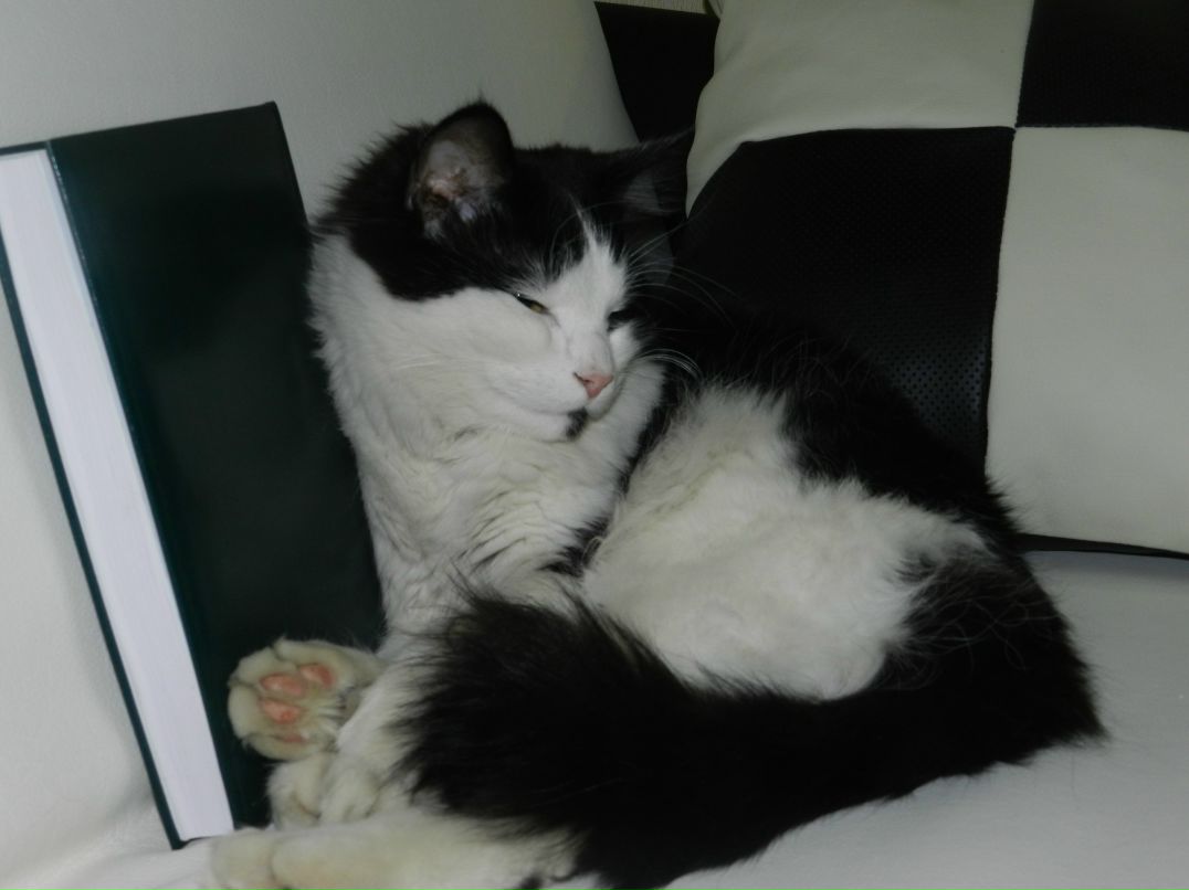 Айгуль Галиуллова | 