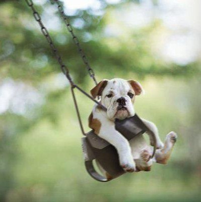 Юрий Усачев | 