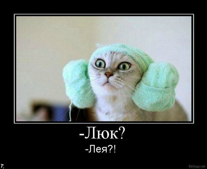 №34, Николай Хуторянский, 35 лет, Киев №34, Николай Хуторянский, 35 лет, Киев