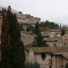 Semushina Elena