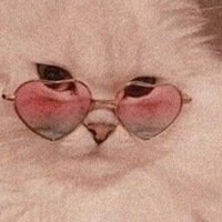 Ксюша Гилёва | 