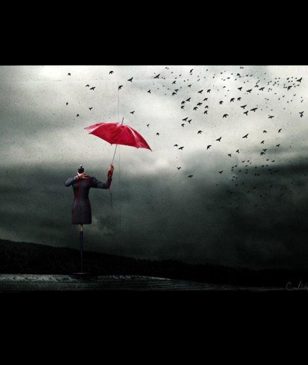 №5, Герральдий Снебушка №5, Герральдий Снебушка