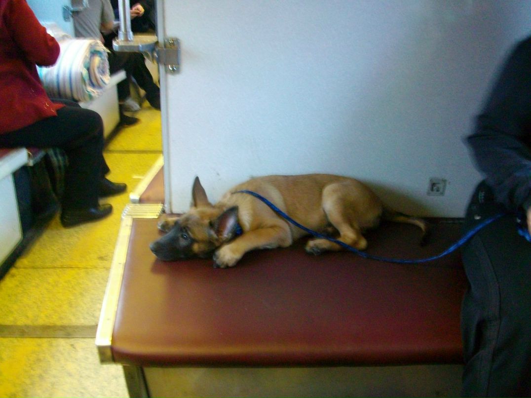 Лёха Имуков БеШеннЫй пИнГвиН | Самара