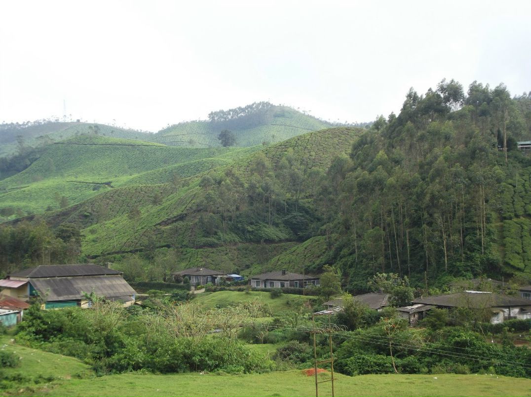 Игорь Гоголев | Тель-Авив