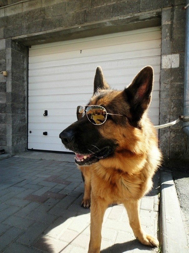 Антон Зарубин <Jom_Linger> | Магнитогорск