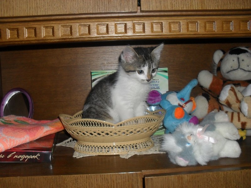 Юрий Конопацкий | Беловежский