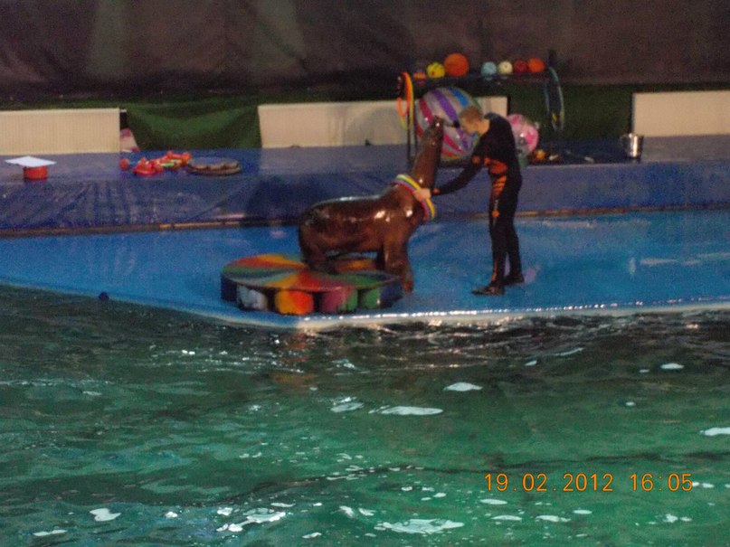 Надежда Алеева | Санкт-Петербург