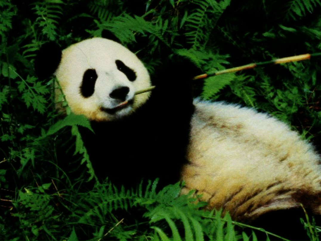 Михаил Бобков | Усть-Илимск