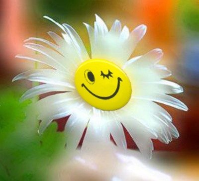 Анна Новикова | Петрозаводск