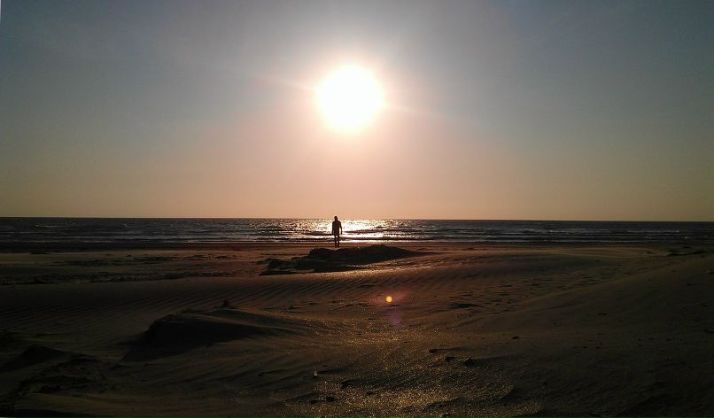 Евгений Новак | 