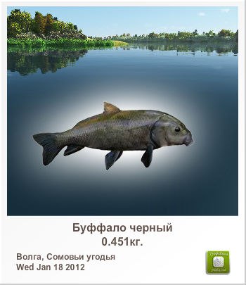 Наиля Ибрагимова ринатовна | Альметьевск