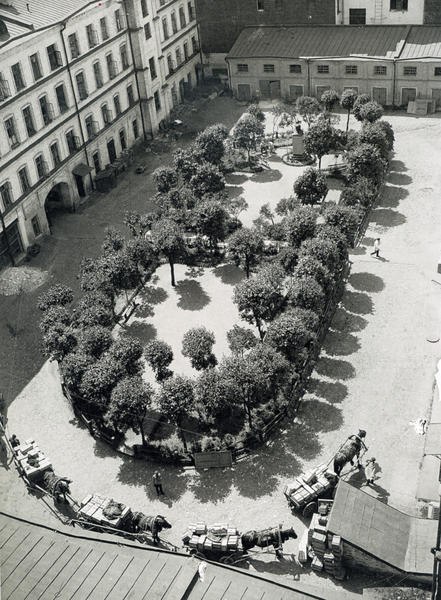 Анастасия Бычкова | Пермь