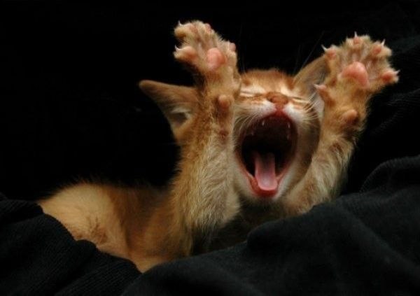 Елена Alenova | Азов