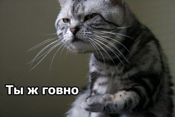 Олег Матвеев | Казань