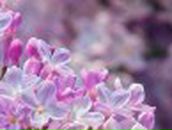 Александра Пигарева | Харьков