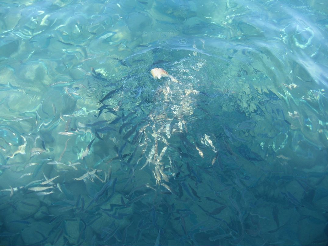 Кристина Бруновская | Москва