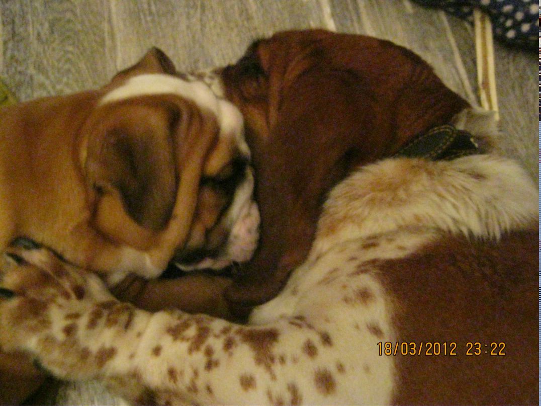 Елена Платонова | Санкт-Петербург