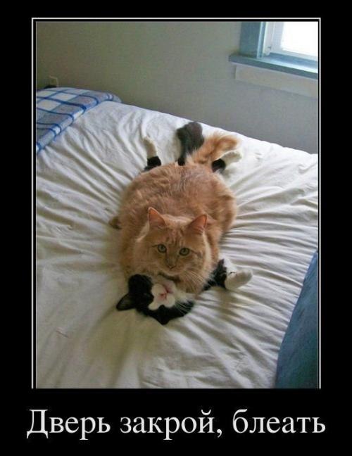 Татьяна Сафронова | Москва