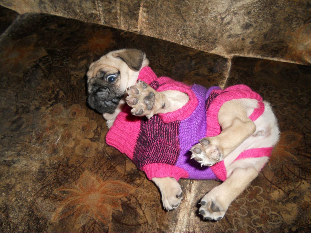 Ольга Земцова *°•.ღ♥ღ.•°* | Киров