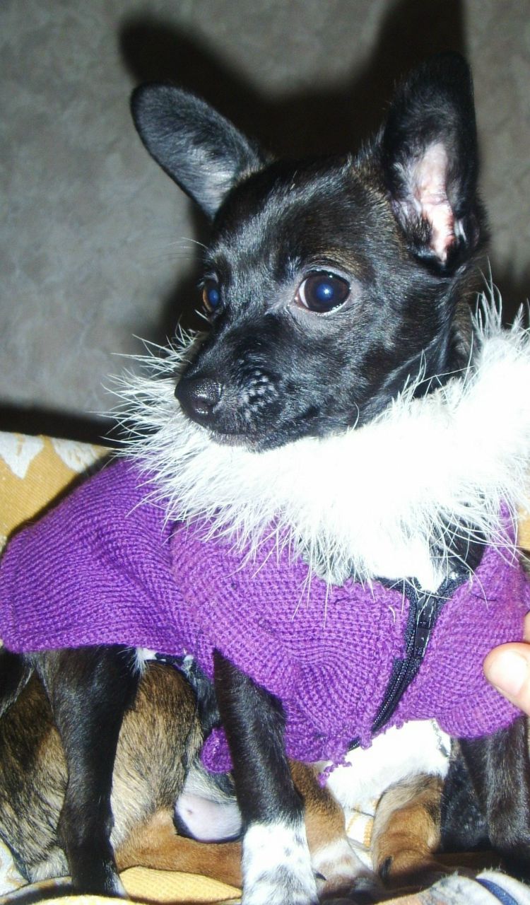 Игорь Ядвижак ☺ | Сычавка