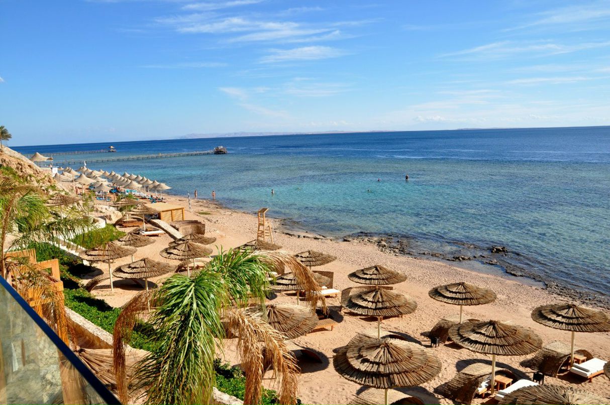 Анюта Родионова | Харьков