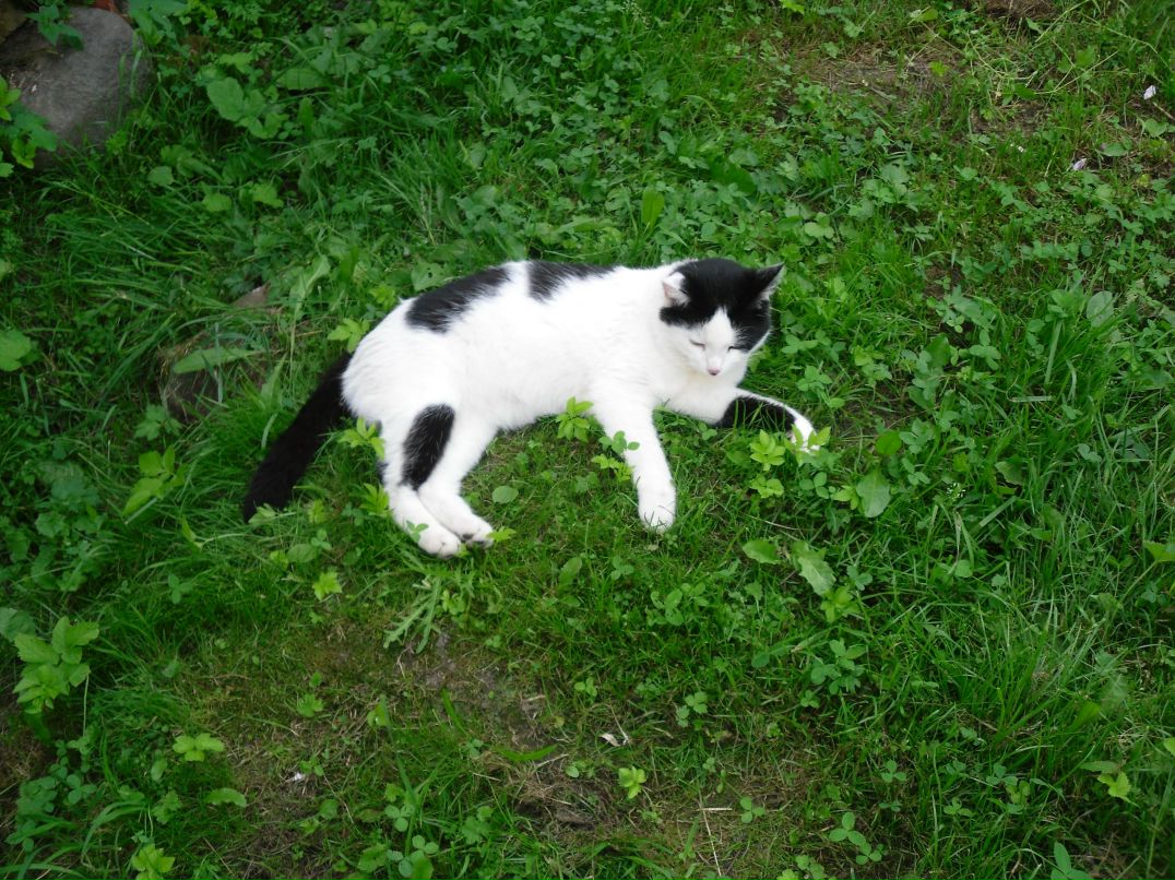 Алёна Гусева | Вологда