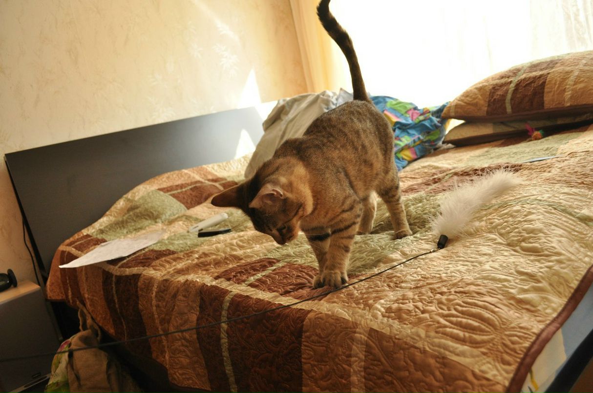 Константин Рагулин | Москва