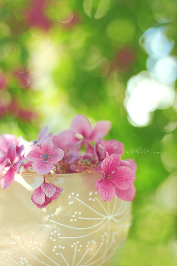 Леся Алексеева | Санкт-Петербург