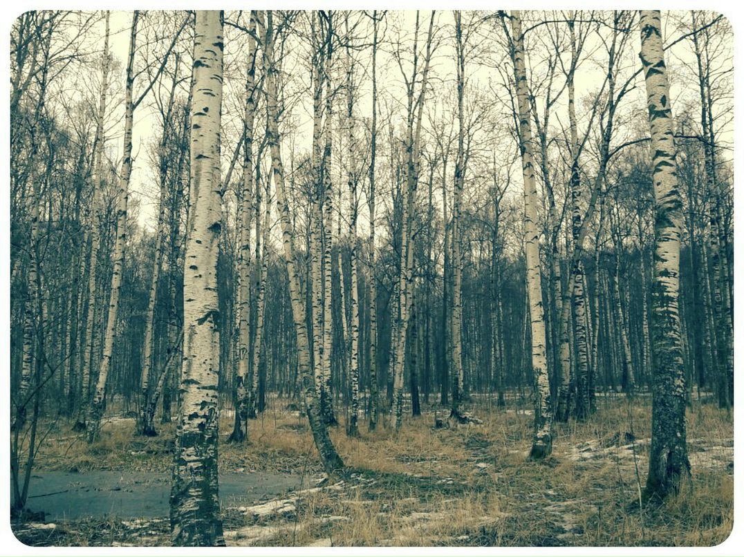 Андрей Йердна | Санкт-Петербург