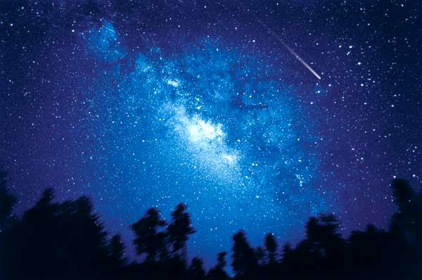 Катерина Чумакова | Краснодар