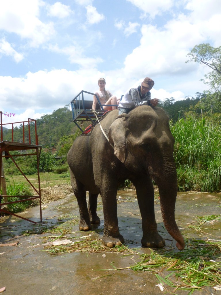 Виктория Шеварёва | Мирный