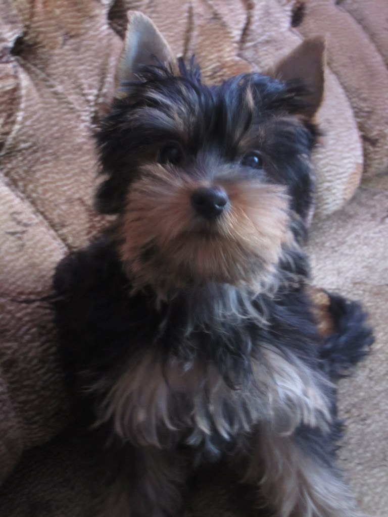 Андрей Бугров | Санкт-Петербург