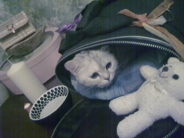 Анастасия Фигурова | Уфа