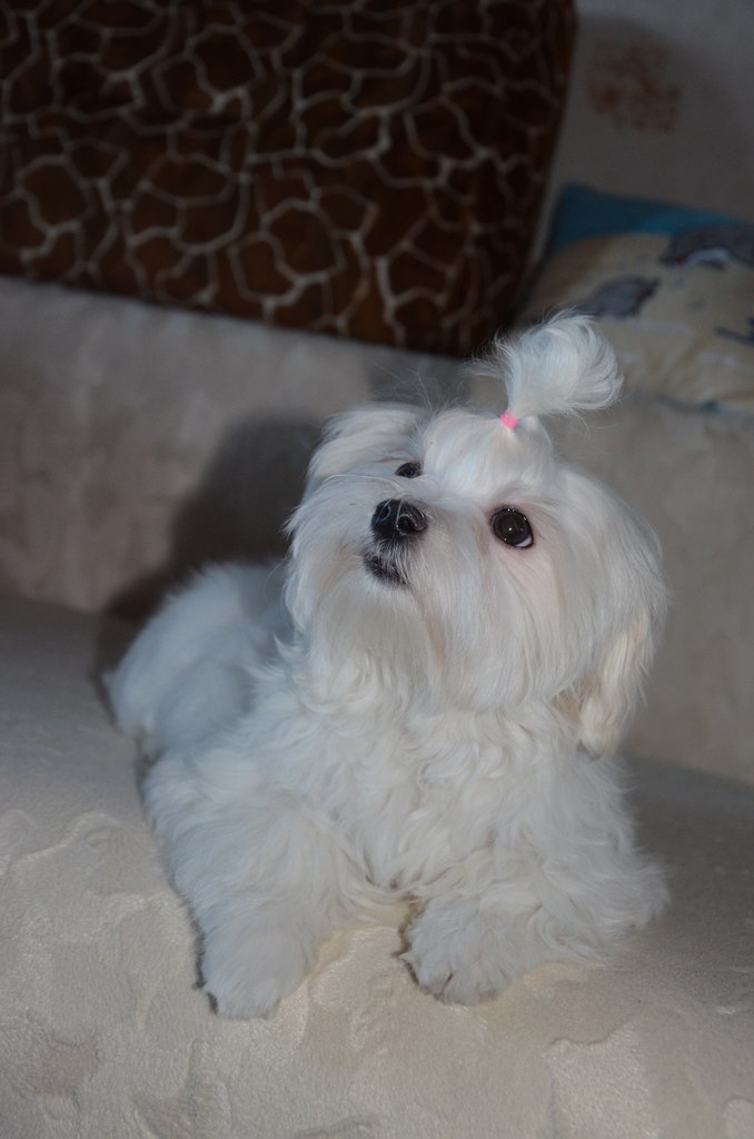 Olga Suslova | Москва