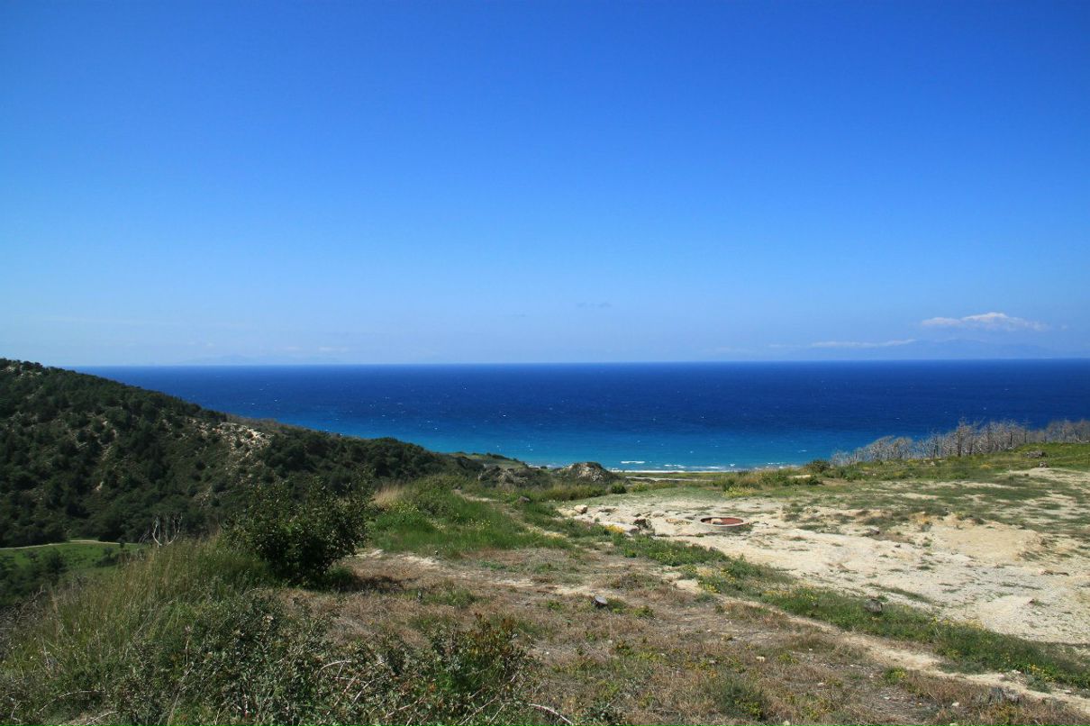 Ronald Shipitsyn | Беэр Шева