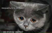 Фотография Надежда Кудрявцева