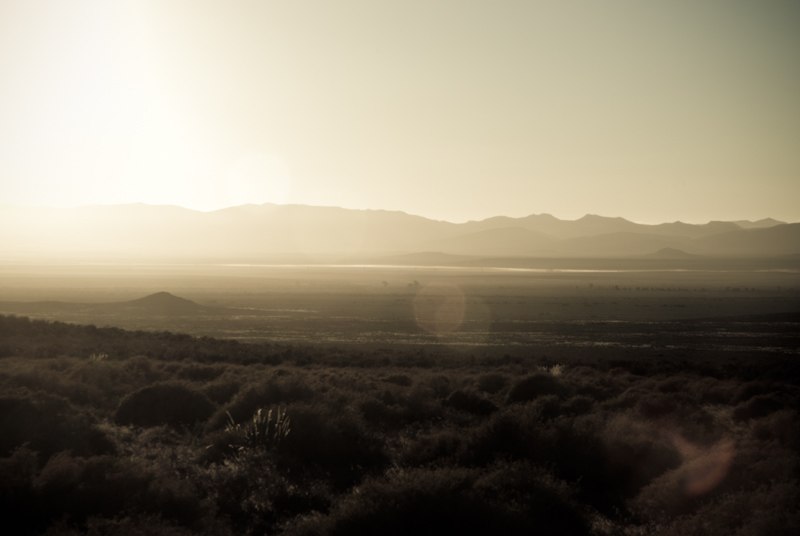 Алексей Шевело | Киев