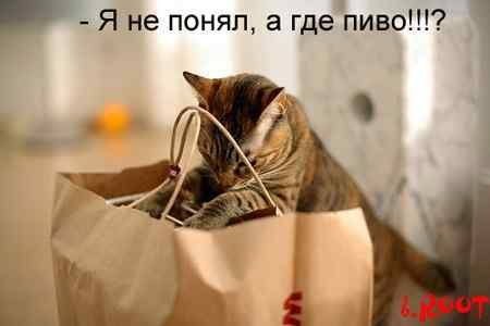 Луиза Иванова ♥♥♥СИЯЮЩАЯ♥♥♥ | Аша