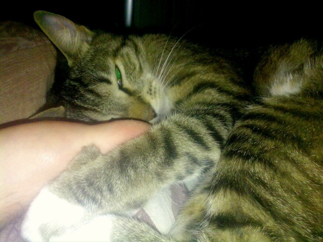 Денис Лункин | Москва